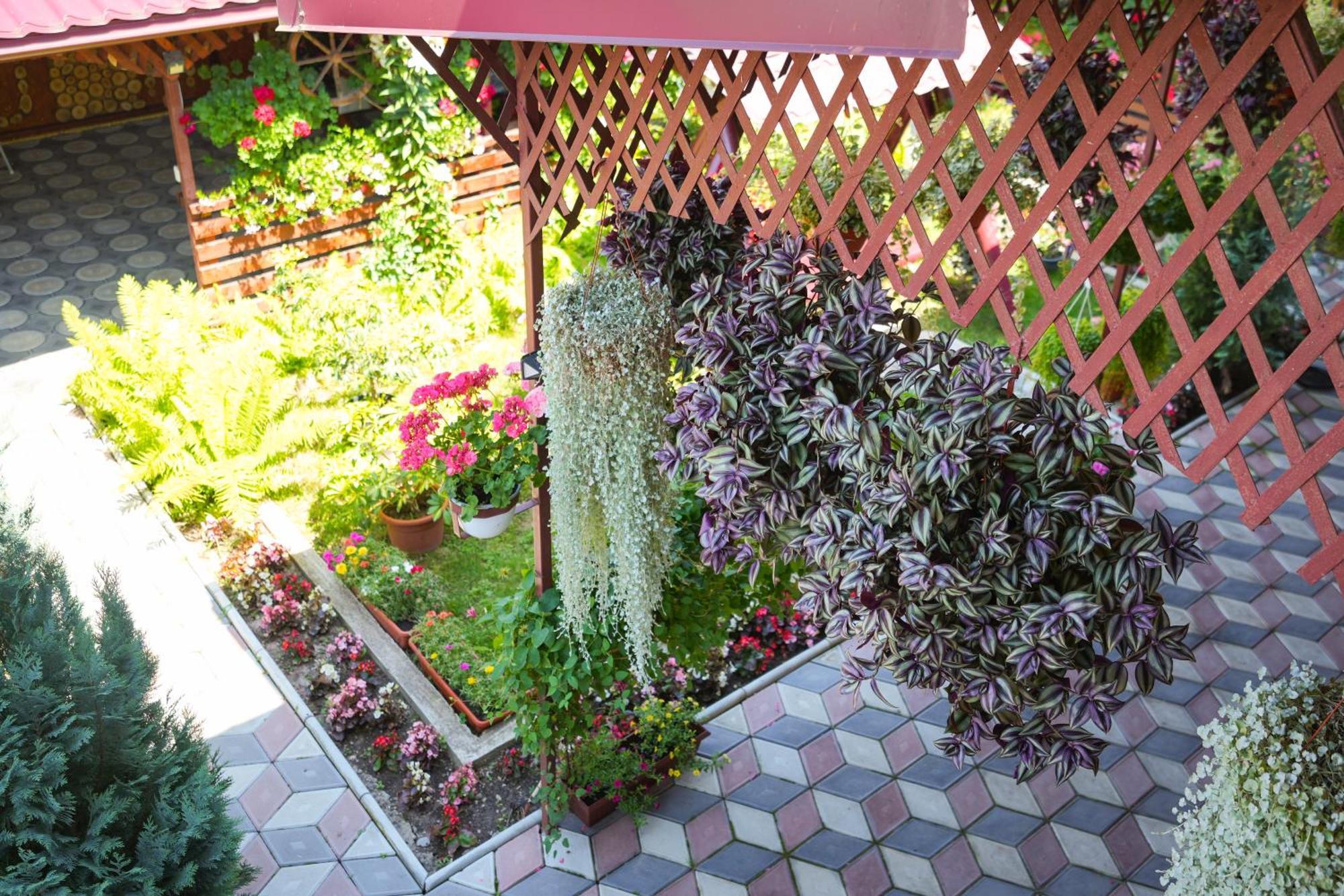 Casa Ion Apartment โฮเรซู ภายนอก รูปภาพ